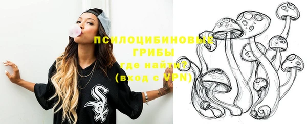 PSILOCYBIN Барнаул