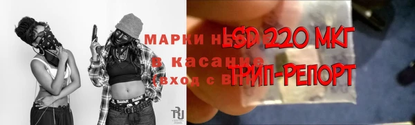 PSILOCYBIN Барнаул