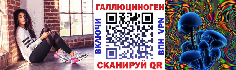 ОМГ ОМГ маркетплейс  как найти закладки  Арамиль  Галлюциногенные грибы GOLDEN TEACHER 